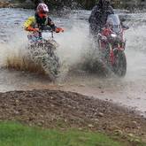 Riding through Water - Canola Run Caledon - Xplorio™ Caledon