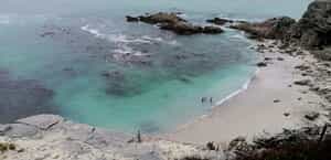 Things to Do in Gansbaai