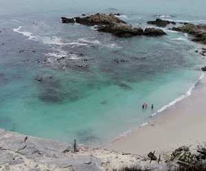 Things to Do in Gansbaai