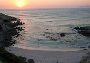 Things to Do in Gansbaai