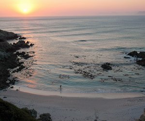 Things to Do in Gansbaai