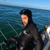 Shark Cage Diving - White Shark Projects - Xplorio™ Gansbaai