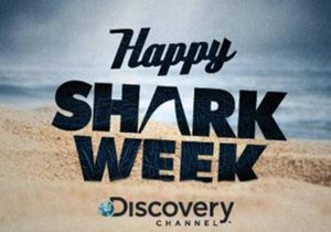 Shark Week is Here - Gansbaai Weekly Inspiration