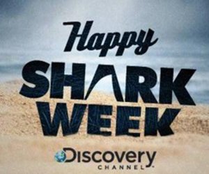 Shark Week is Here - Gansbaai Weekly Inspiration