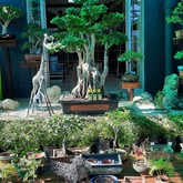 Riverland Garden Centre - Xplorio™ Stanford