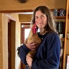 Chicken - Greyton Farm Animal Sanctuary - Xplorio™ Greyton 