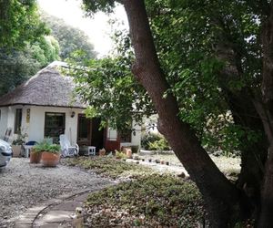 1 Bedroom Apartment / Flat to Rent in Fernkloof: R7,000