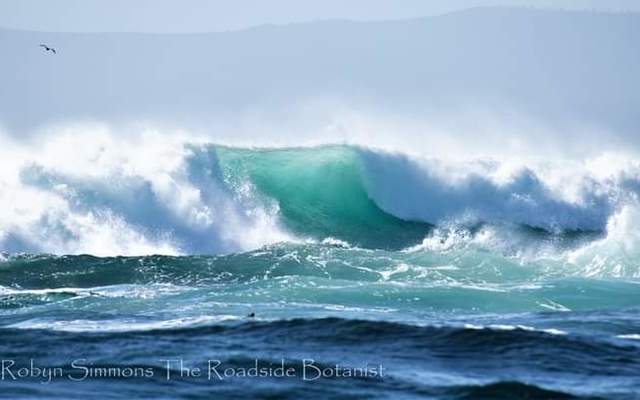 WhatsApp_Image_2022_06_02_at_10.17.57_AM_1654170238