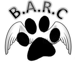 BARC Animal Welfare March 2022 Newsletter