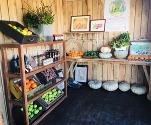 RAW Is Finally Open!