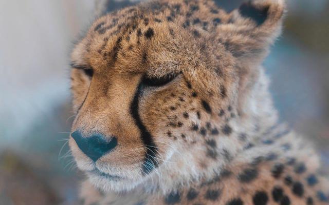 Heather10_1654251088