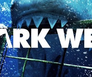 Shark Week Update - Gansbaai Daily News