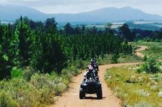 Adventure_Seekers_image_14_1654499595