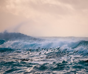 Round 1 Winner of our Photography Competition