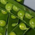 Fresh Veggies - Organic Bunch - Xplorio™ Gansbaai - Fresh Veggies - Organic Bunch - Xplorio™ Gansbaai -