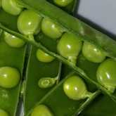 Fresh Veggies - Organic Bunch - Xplorio™ Gansbaai -