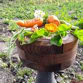 Fresh Veggies - Organic Bunch - Xplorio™ Gansbaai 