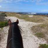 Horse Riding- Beyond Black Mountain / Caledon Tourism- Xplorio™ Caledon