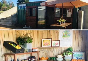 The RAW Shop Journey