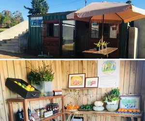 The RAW Shop Journey