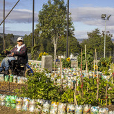 Making Garden - Youth Café Villiersdorp- Xplorio™ Villiersdorp