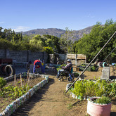 Garden For Community - Youth Café Villiersdorp- Xplorio™ Villiersdorp