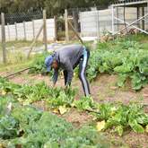 Youth Café Villiersdorp - Xplorio™ Villiersdorp