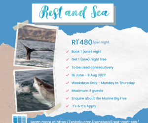 Winter Accommodation Special