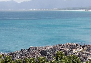 Review from Happy Guest