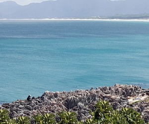 Review from Happy Guest