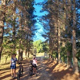 Gansbaai Mountain Bike Rides & Routes - Mountain biking - Xplorio™ Gansbaai