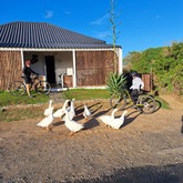 Gansbaai Mountain Bike Rides & Routes - Mountain biking - Xplorio™ Gansbaai