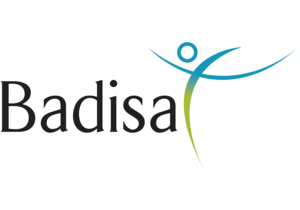 BADISA (Maatskaplike Dienste)