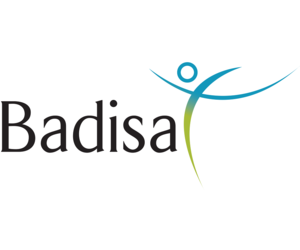 BADISA (Maatskaplike Dienste)