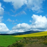 Chas Everitt Bredasdorp - Xplorio™ Bredasdorp