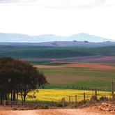 Chas Everitt Bredasdorp - Xplorio™ Bredasdorp