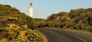 A Successful Weekend For Danger Point Lighthouse