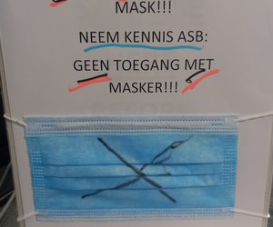 Paint Products for Indoor Decor Projects