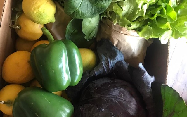 Veggie box - RAW - Xplorio™ Greyton