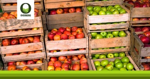 Appels is Regdeur die Jaar Beskikbaar in Suid-Afrika