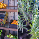 Fresh Produce - RAW - Xplorio™ Greyton