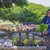 Fresh Veg - Gansbaai Market / Gansbaai Mark - Xplorio™ Gansbaai 