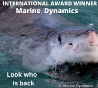 Next Marine Dynamics Shark Cage Diving Trip: 24 June 2022