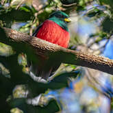 Bird - Riaan Jacobs Photography - Xplorio™ Gansbaai