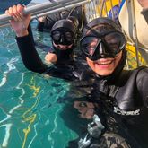 Shark Cage Diving - White Shark Projects - Xplorio™ Gansbaai