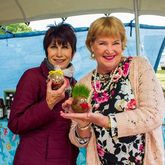 Toys For Children - Gansbaai Market / Gansbaai Mark - Xplorio™ Gansbaai 