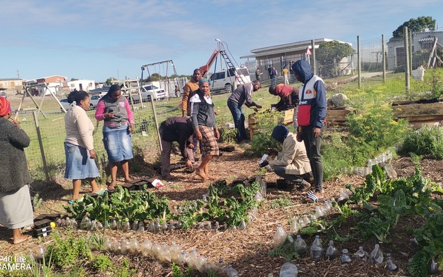 Practical in the community/training garden.