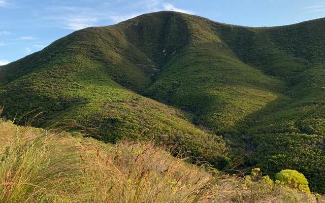 Beatiful views from Witkrans Trails