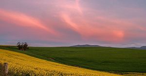 We Love Winter Sunsets in Caledon!