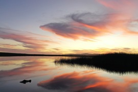 We Love Winter Sunsets in the Nuwejaars Wetlands!